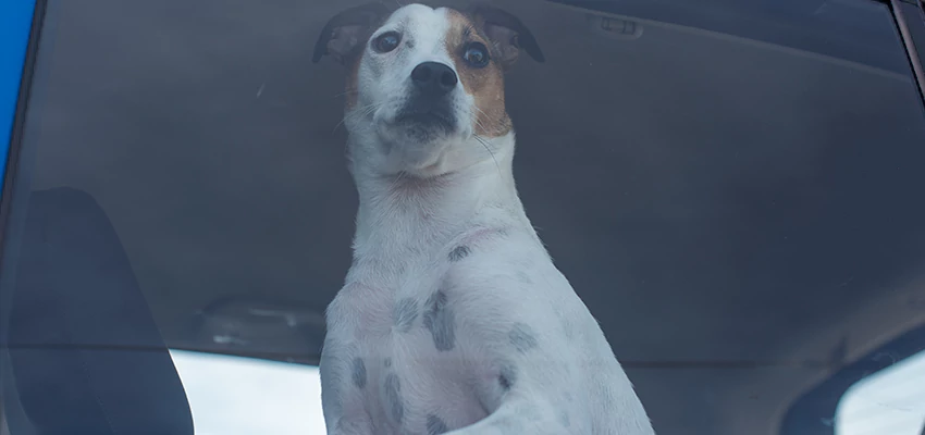 Car Lockout Solutions in Lake Forest, California